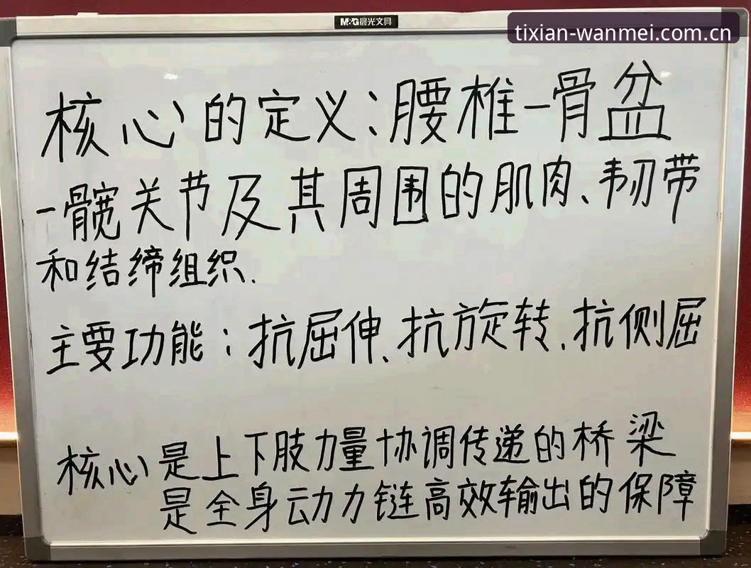 完美体育功能体验 完美体育功能体验实用指南:资深用户分享的五大必备技巧与心得